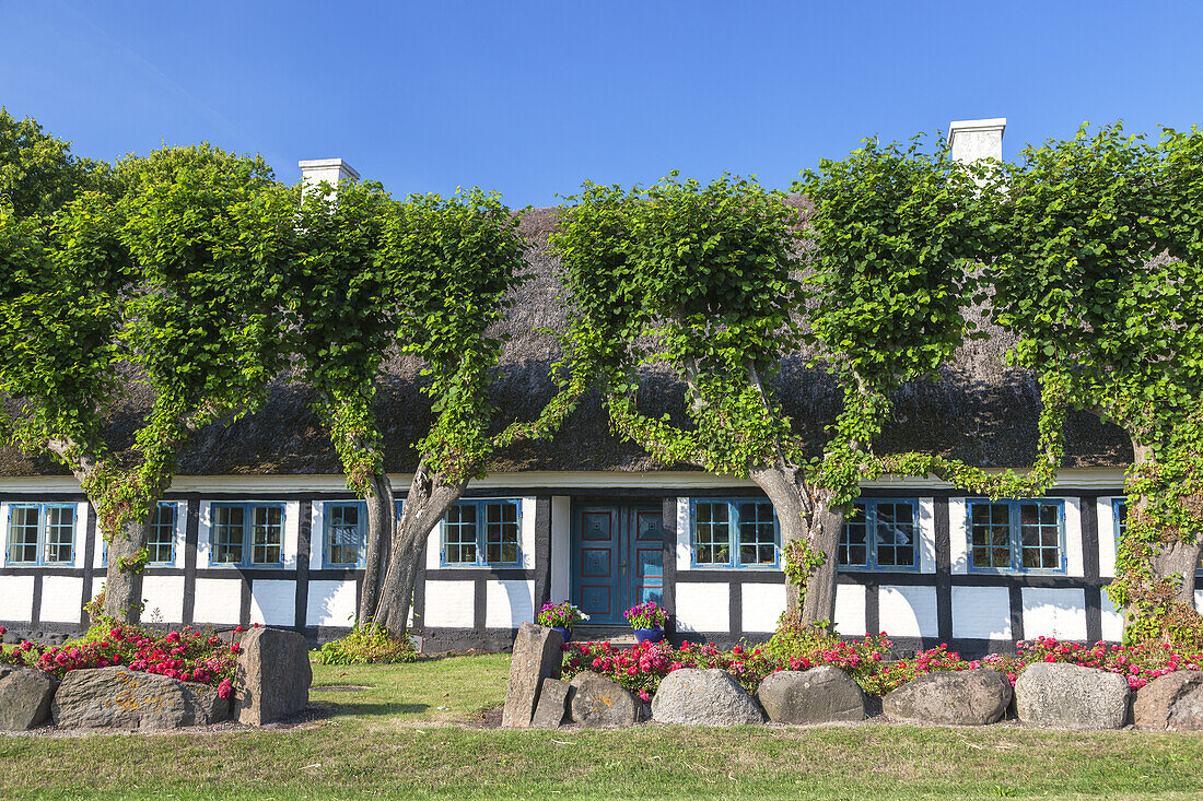 Reetdachhaus bei Bregninge, Insel Ærø, Schärengarten von Fünen, Dänische Südsee, Süddänemark, Dänemark, Nordeuropa, Europa
