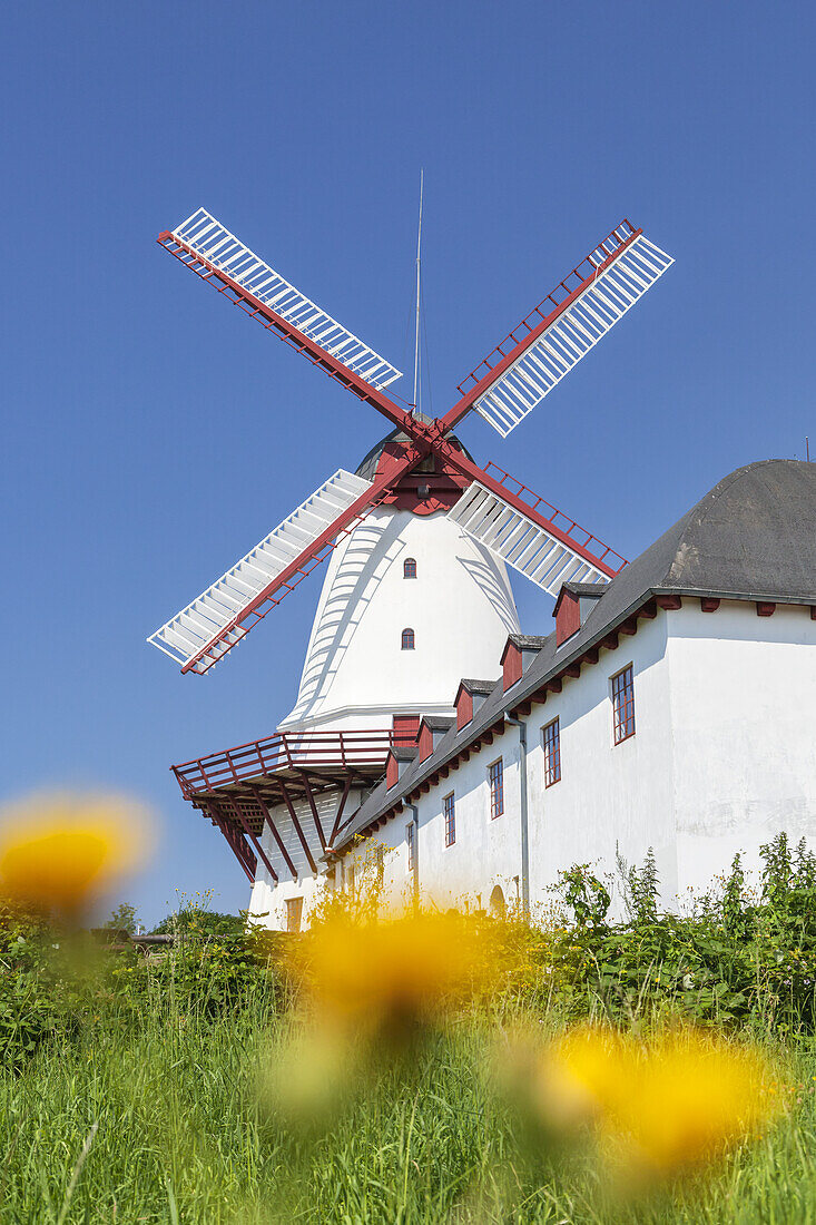 Düppeler Windmühle in Dybbøl bei Sønderborg, Süddänemark, Dänemark, Nordeuropa, Europa