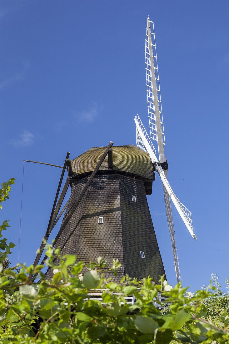 Windmühle Rudkøbing auf der Insel Langeland, Dänische Südsee, Süddänemark, Dänemark, Nordeuropa, Europa