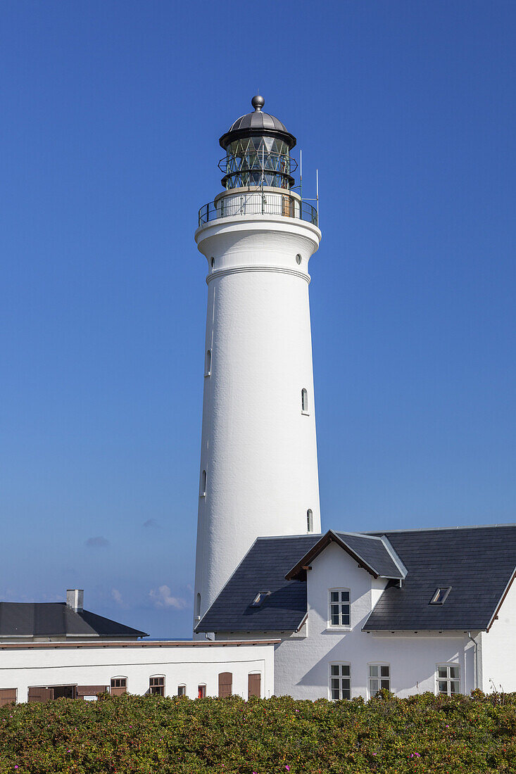 Leuchtturm und Leuchtturmwärterhaus von Hirtshals, Nordjylland, Jylland, Dänemark, Nordeuropa, Europa