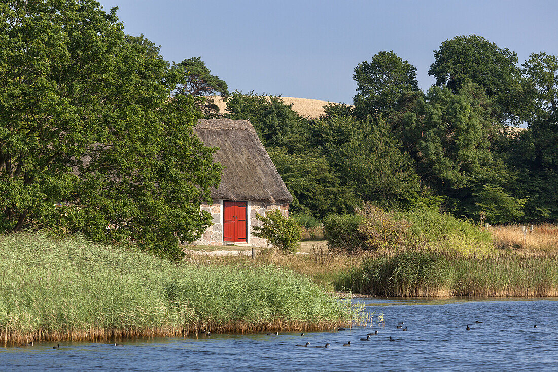 Harbour Selsø on the Bay Roskilde Fjord, Island of Zealand, Scandinavia, Denmark, Northern Europe