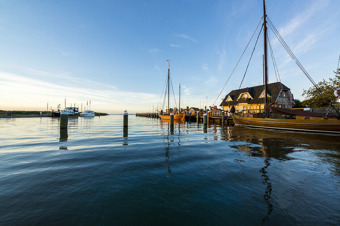 Zeesenboot in der Morgenstimmung im Hafen Althagen in Ahrenshoop am Bodden auf dem Darß. Althagen, Ahrenshoop, Darß, Mecklenburg-Vorpommern, Deutschland