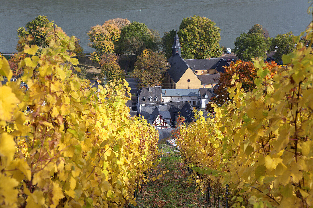 Blick auf Bacharach am Rhein, Oberes Mittelrheintal, Rheinland-Pfalz, Deutschland, Europa