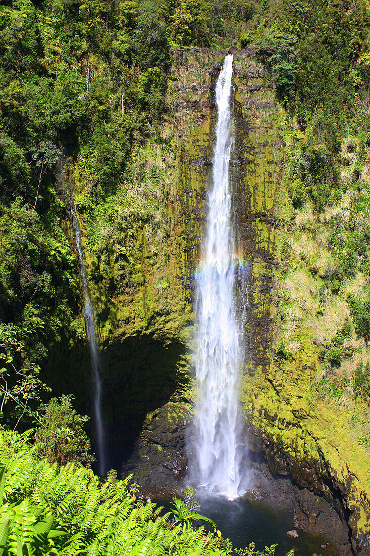 Double waterfall with a rainbow in Akaka Falls State Park in Honomu, Hawaii, USA.