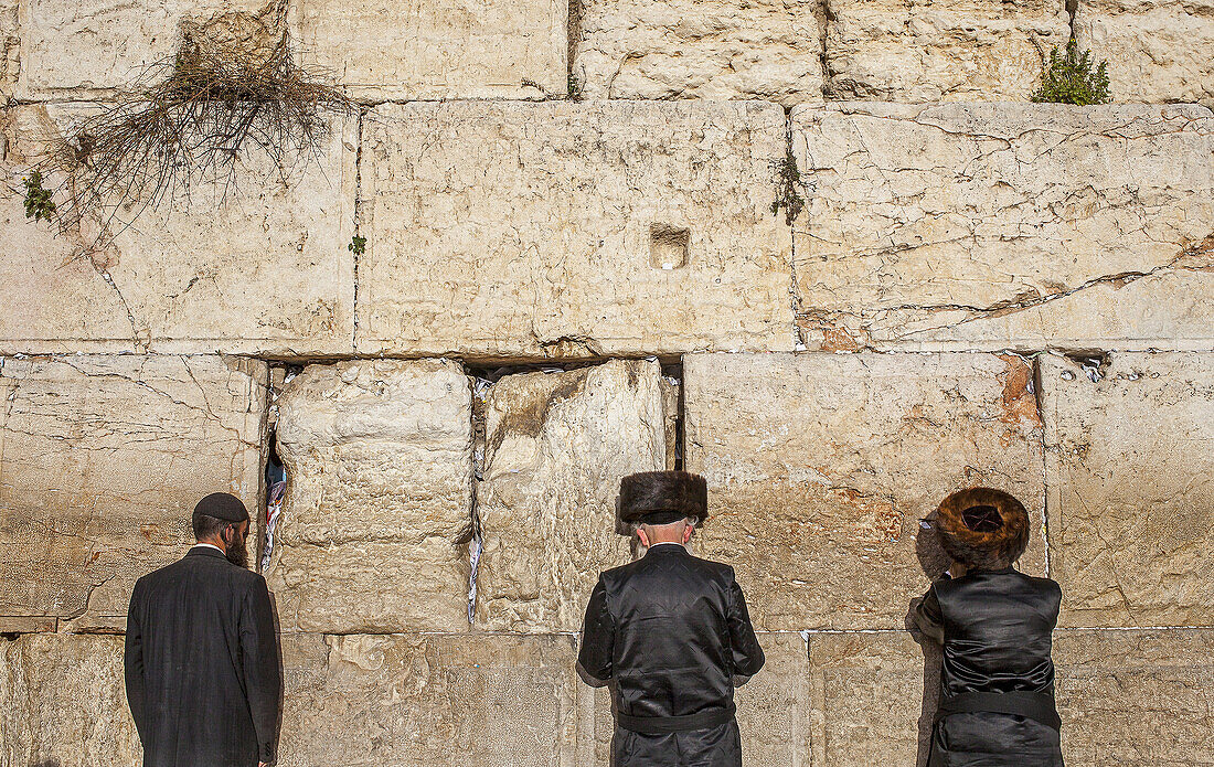 men's prayer area, men praying at the Western Wall, Wailing Wall, Jewish Quarter, Old City, Jerusalem, Israel.