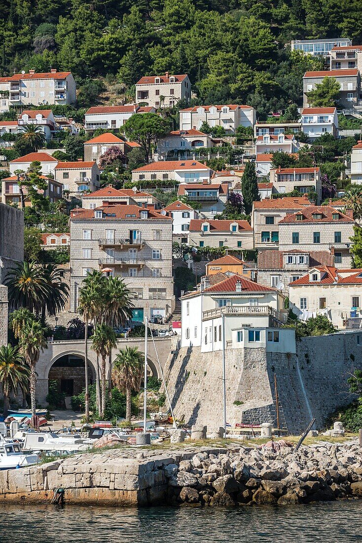 apartment houses in Dubrvnik city, Croatia. View from.