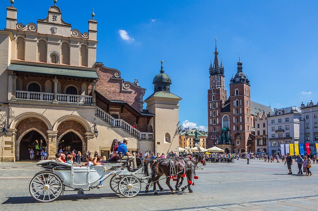 Poland, Krakow City, Market Square, St. Mary's Basilica.