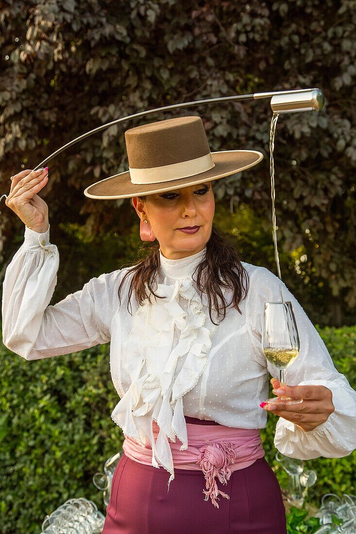 Woman pouring sherry wine from the barrel using venencia. Malaga. Costa del Sol, Andalusia southern. Spain Europe.