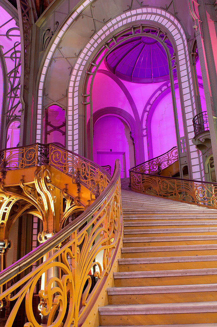 France, Paris, area listed as World Heritage by UNESCO, Grand Palais, the staircase