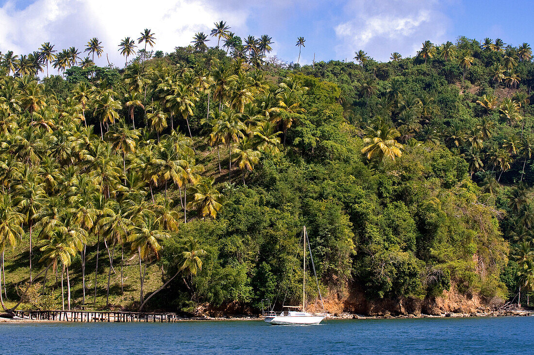 Dominican Republic, Samana province, Los Haïtises Park, Cayo Levantado island