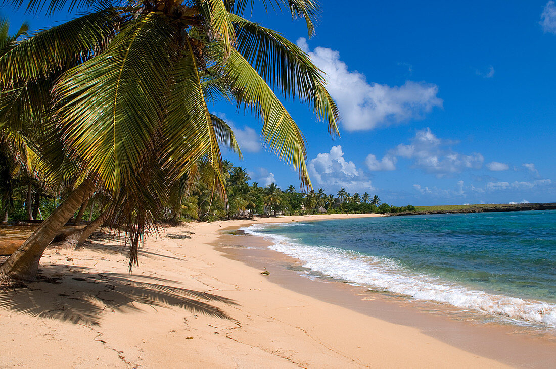 Dominican Republic, Samana province, El Frances, the beach