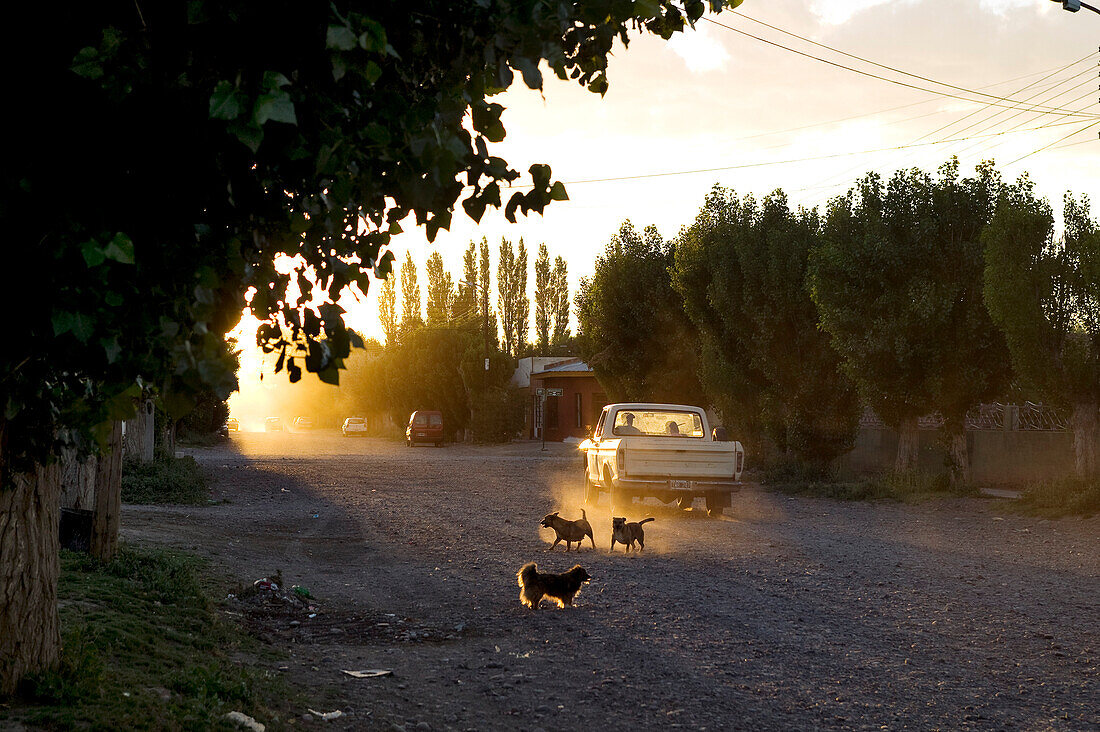 Argentina, Patagonia, Chubut Province, Rio Mayo