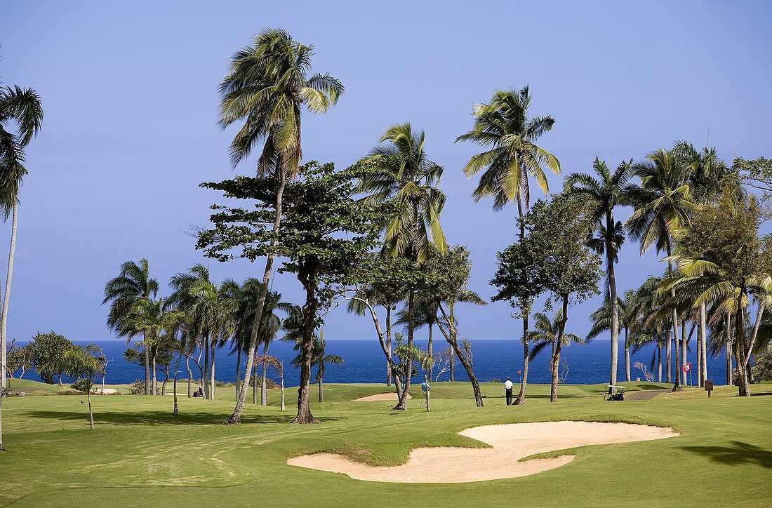 Dominican Republic, North coast, Rio San Juan, Playa Grande beach