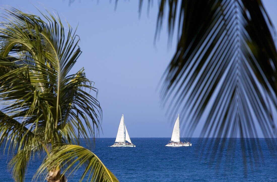 Dominican Republic, Puerto Plata Province, Sosua, sailing boats