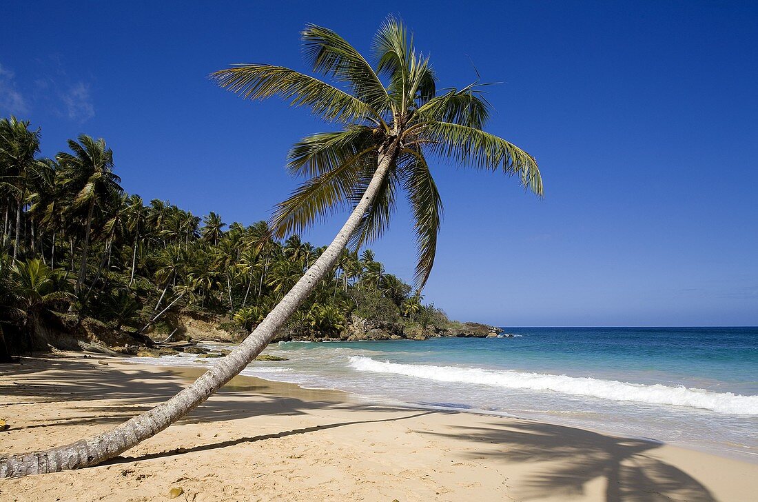 Dominican Republic, North coast, Rio San Juan, Playa Grande beach