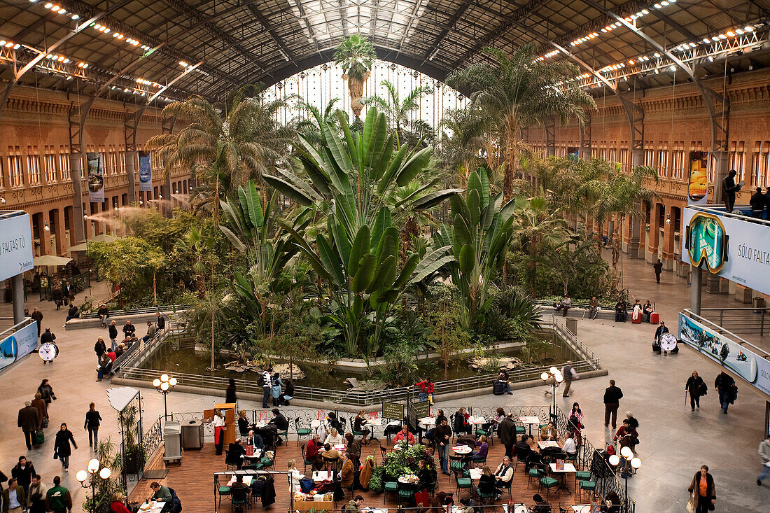 Spain, Madrid, Atocha railway station and its tropical garden