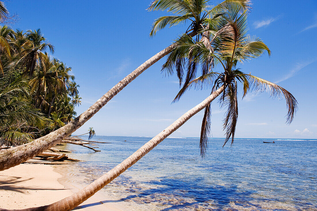 Costa Rica, Limon Province, Caribbean coast, Cahuita National Park