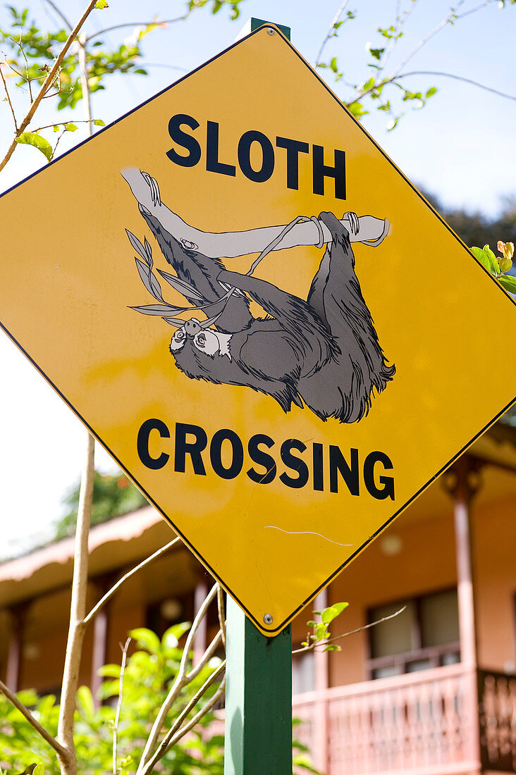 Costa Rica, Limon Province, Caribbean coast, Cahuita, sign road : sloth crossing