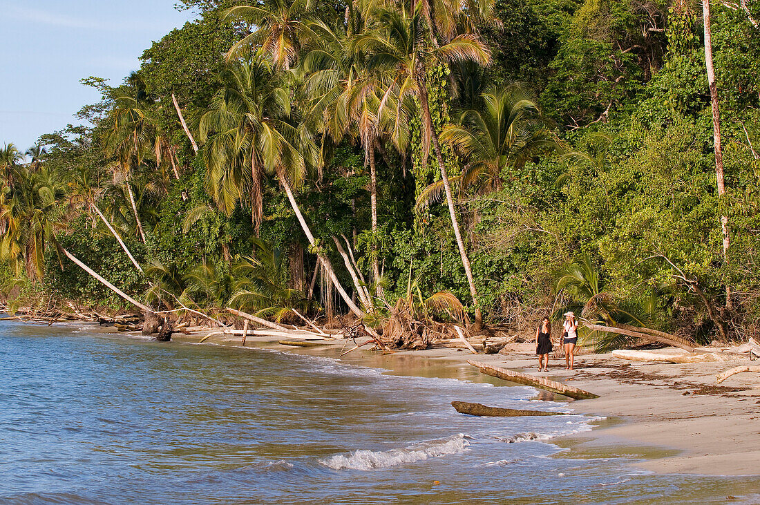 Costa Rica, Limon Province, Caribbean coast, Cahuita National Park