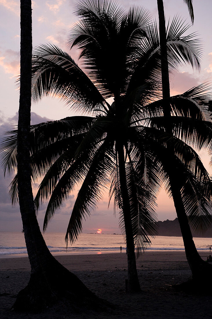 Costa Rica, Puntarenas Province, Manuel Antonio, sunset