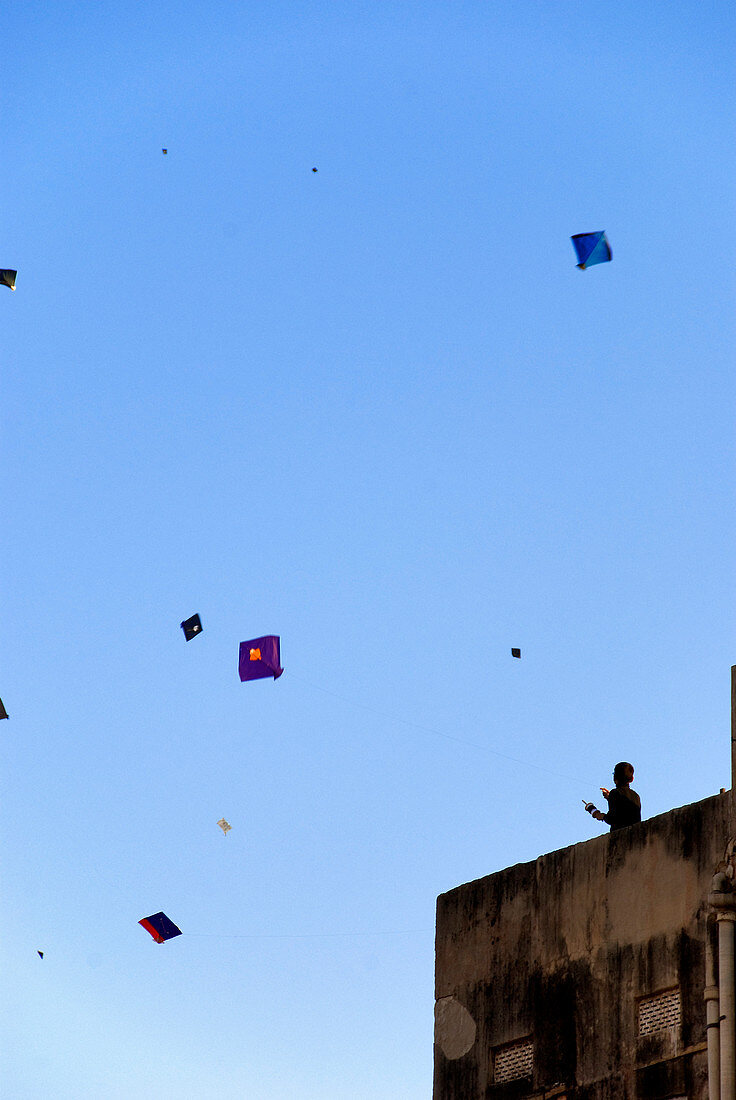 India, Rajasthan State, Jaipur, the feast of the kite, children playing kites on rooftops