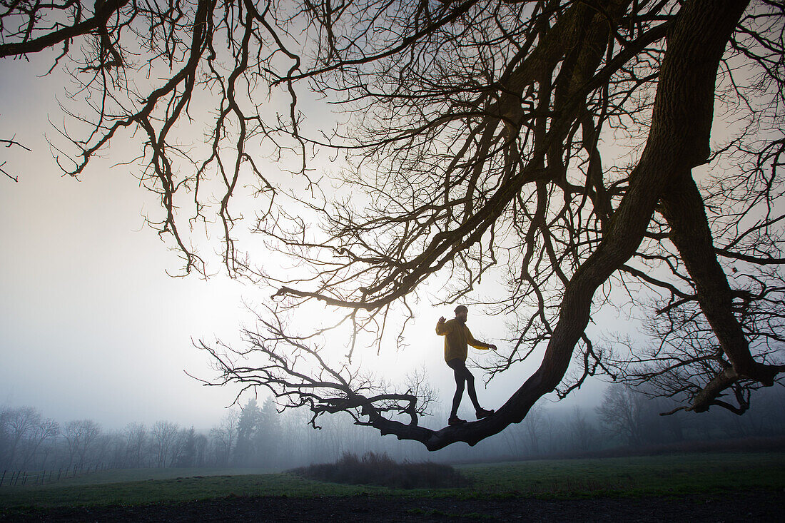 Junger Mann balanciert über den Ast einens Baumes an einem nebligen Herbsttag, Allgäu, Bayern, Deutschland
