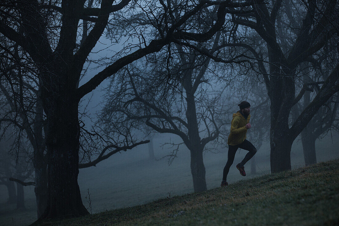 Young man running over a meadow between trees on a foggy autumn day, Allgaeu, Bavaria, Germany