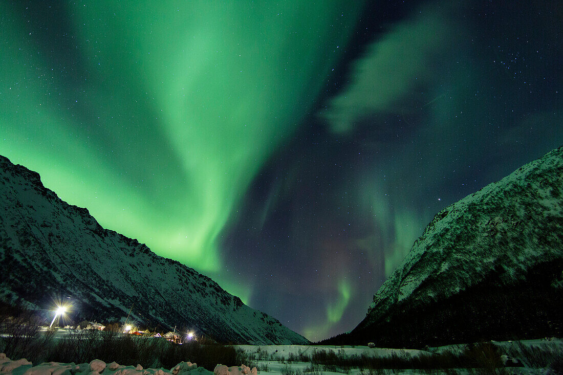 Nordlichter, Aurora borealis, bei Rorvika, Austvagoya, Lofoten, Norwegen, Skandinavien, Europa