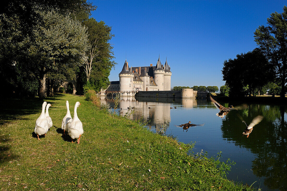France, Loiret, Loire Valley listed as World Heritage by UNESCO, Sully sur Loire, castle of the 14th/17th century, compulsory mention : Chateaux de Sully sur Loire, property of the Loiret Departement