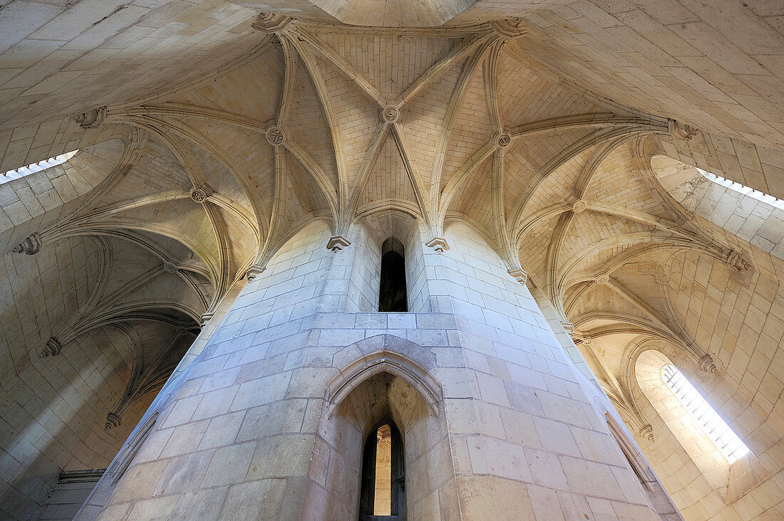 France, Indre et Loire, Amboise, Loire Valley listed as World Heritage by UNESCO, Chateau d'Amboise, Minimes Tower, ceiling of the ramp