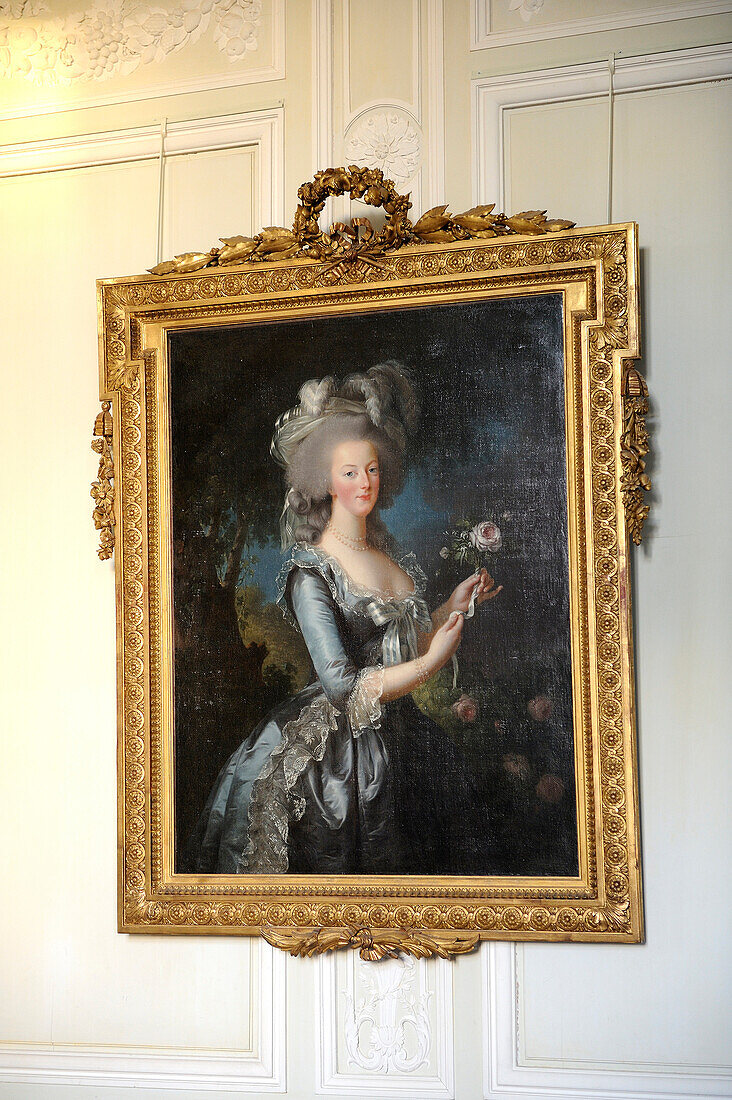 France, Yvelines, Chateau de Versailles, listed as World Heritage by UNESCO, Domaine de Marie Antoinette (Queen Marie Antoinette' domain), the Petit Trianon, Marie Antoinette's portrait with a rose by Elisabeth Vigee-Le Brun