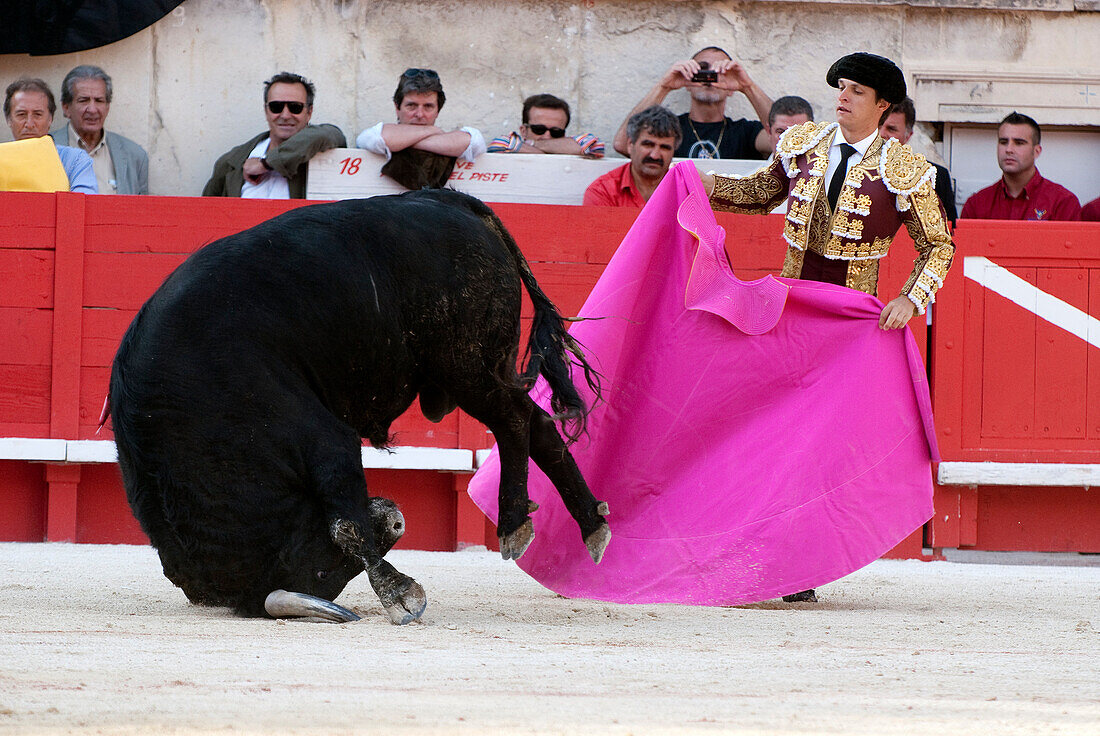 France, Gard, Nimes, bullfight during the Feria in the bullring