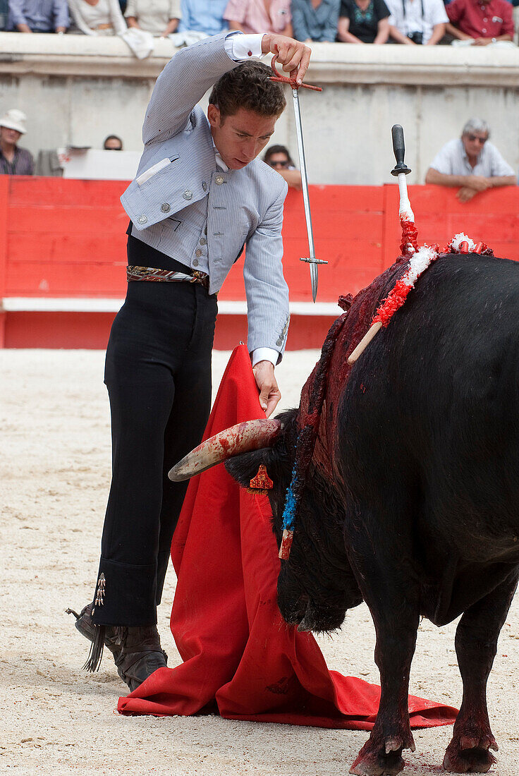 France, Gard, Nimes, bullfight during the Feria in the bullring