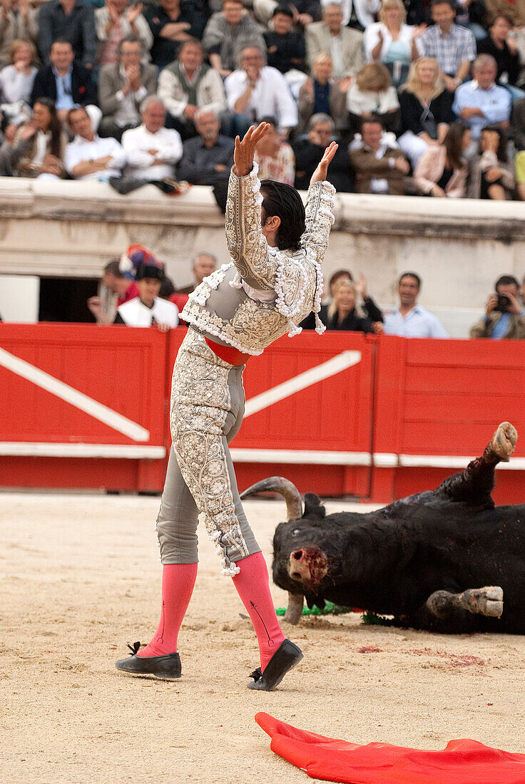 France, Gard, Nimes, bullfight during the Feria in the bullring
