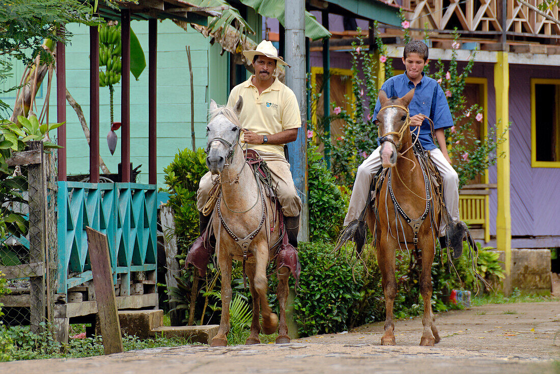 Nicaragua, El Castillo, the guide Alfonso Topia's Criollo horses are used for trip on Rio San Juan