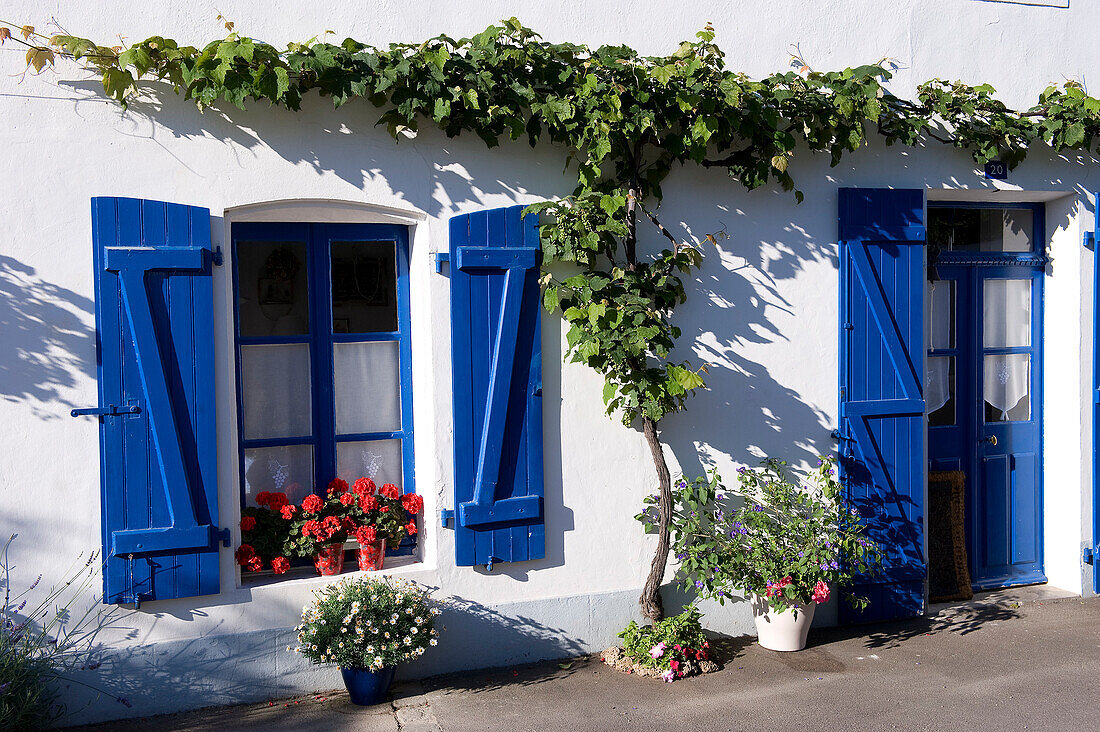 France, Vendee, Ile de Noirmoutier, Noirmoutier en l'Ile, Banzeau district and its colourful houses