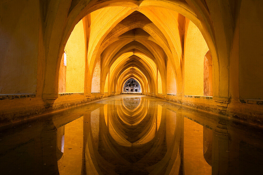 Spain, Andalusia, Seville, Reales Alcazares de Sevilla (the Alcazar of Seville) listed as World Heritage by UNESCO, baths of Dona Maria de Padilla