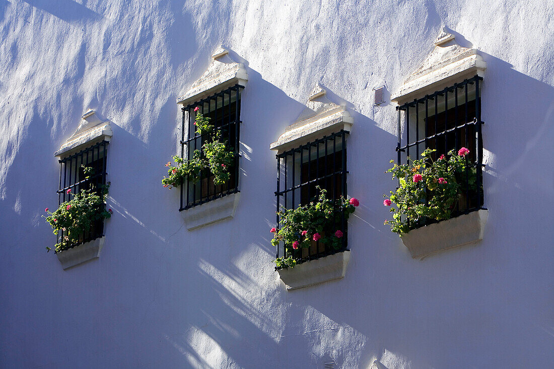 Spain, Andalusia, white village of Ronda, window