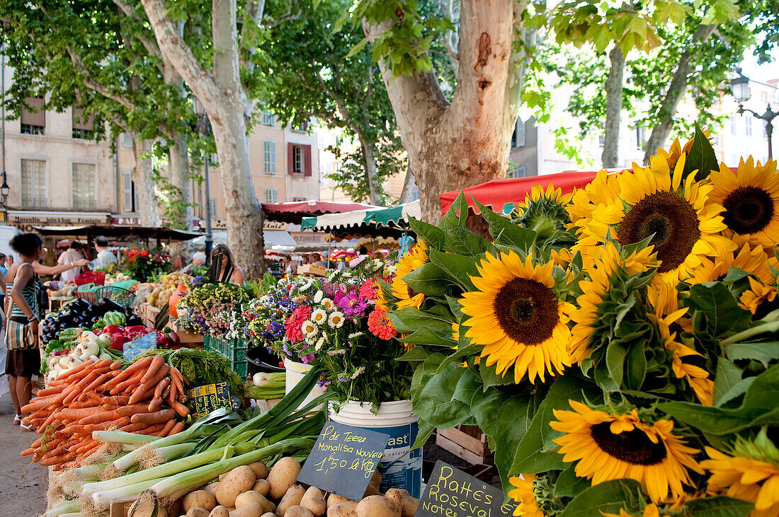 France, Bouches du Rhone, Aix en Provence, the Place Richelme, market