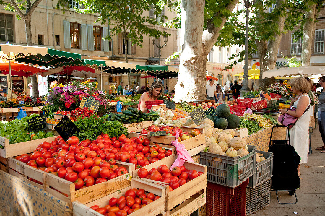 France, Bouches du Rhone, Aix en Provence, the Place Richelme, market