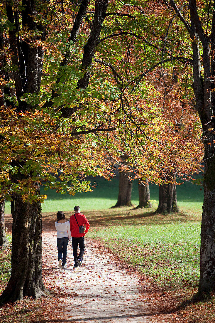 Slovenia, Gorenjska region, walkers on the banks of the Bled Lake