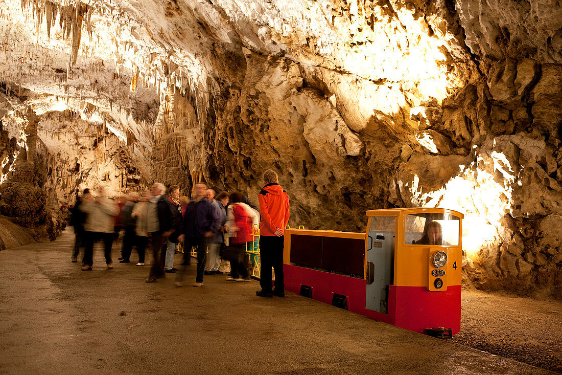 Slovenia, Notranjska region, Postojna caves