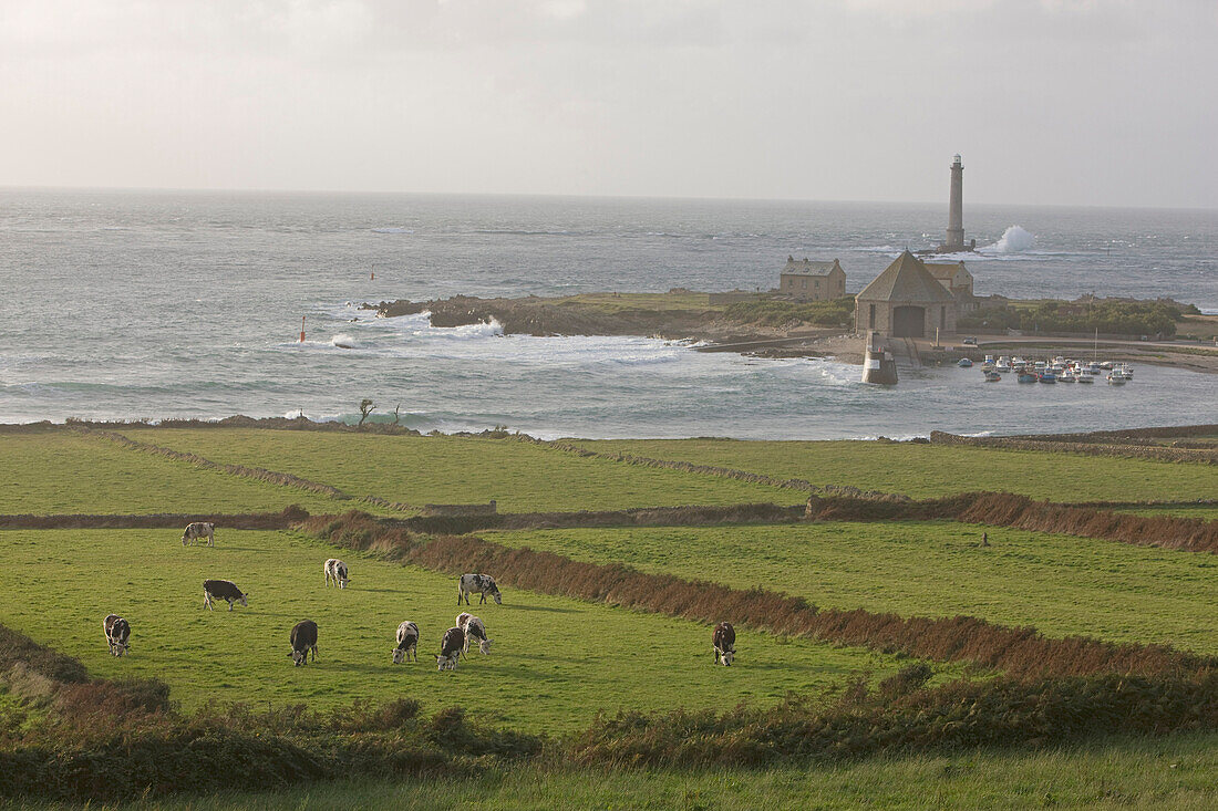 France, Manche, Cotentin, Pays de la Hague, Raz Blanchard, Goury Lighthouse in granite, 52m height