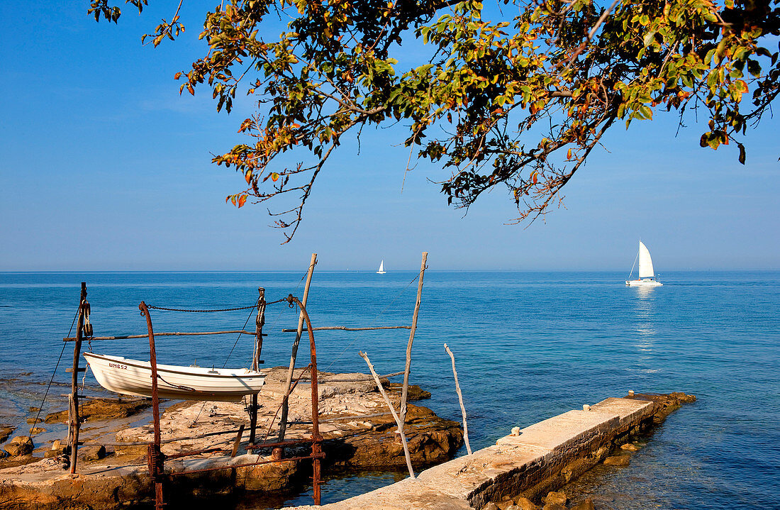 Croatia, Istria, Adriatic coast, coast near Umag