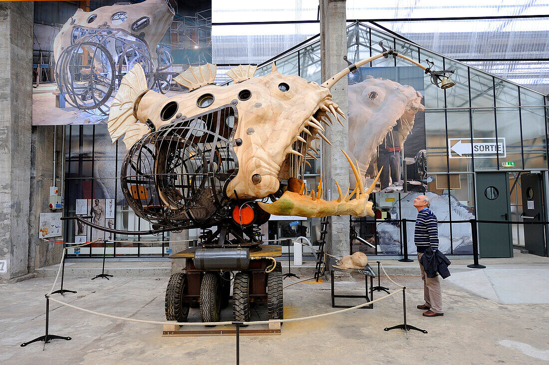 France, Loire Atlantique, Nantes, European Green Capital 2013, Ile de Nantes, Les Machines de l'Ile (the Machines of the Island) in the warehouses of the former shipyards, artistic project conceived by François Delarozière and Pierre Orefice, the Abysses 