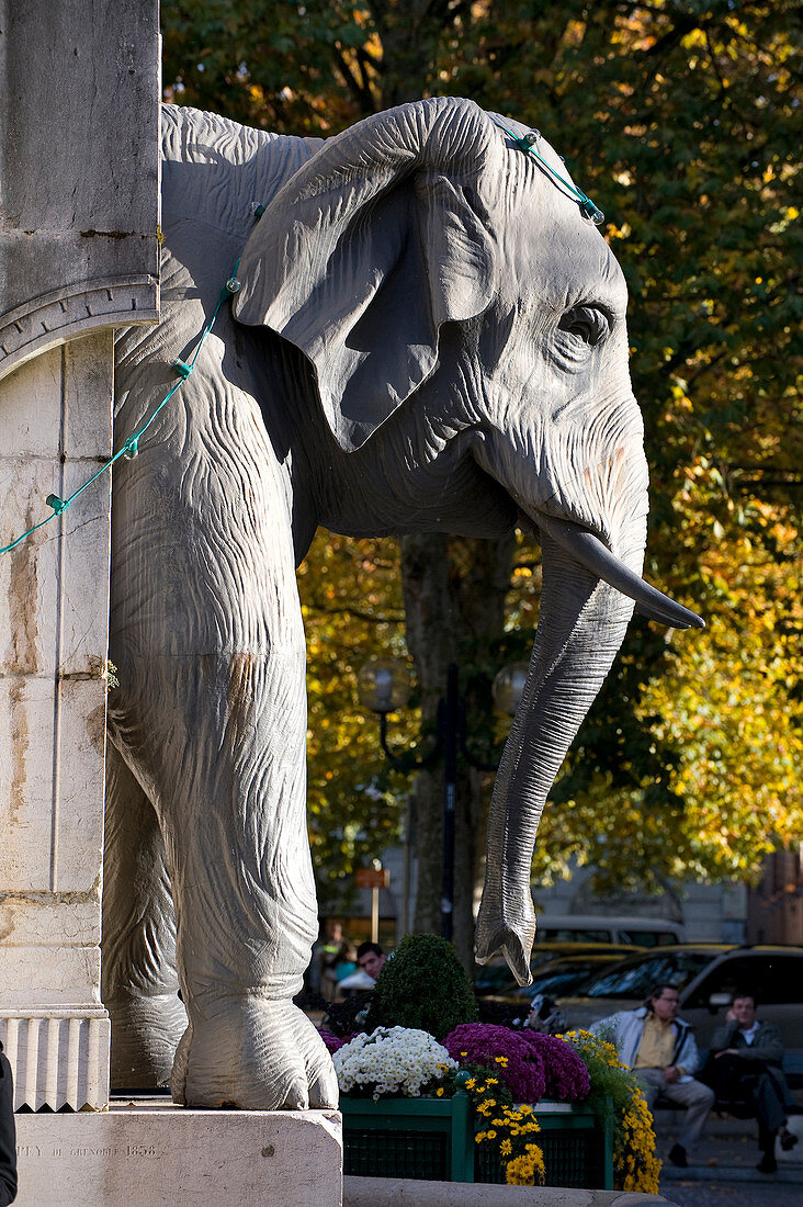 France, Savoie, Chambery, the fountain of the elephants