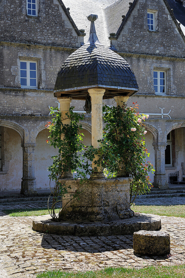 France, Loir et Cher, Chateau de Talcy, well with roses that might have inspired the poet Ronsard