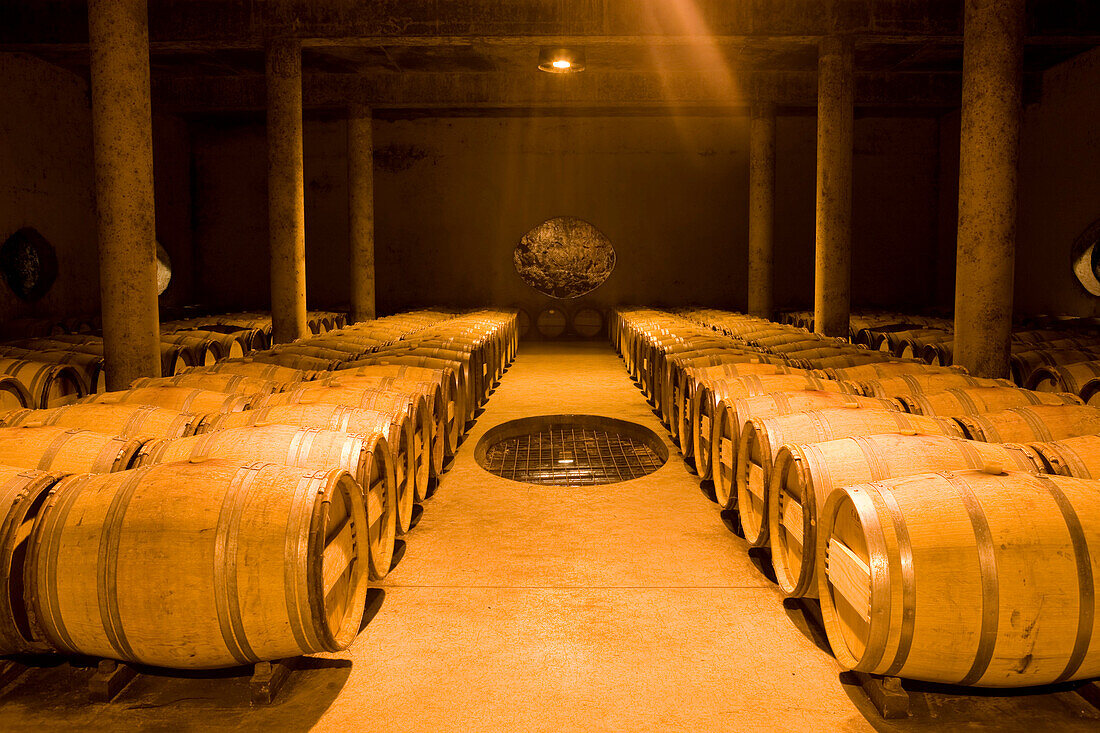 France, Dordogne, Perigord Pourpre, Conne de Labarde, Clos Les Verdots wine warehouse