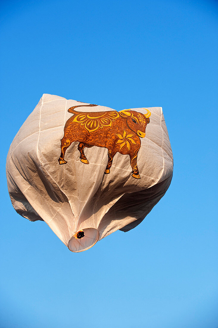 Taiwan, Taipei District, Shifen, Lantern festival, ox on a paper latern (2009, Ox yeaar in the Chinese calendar)