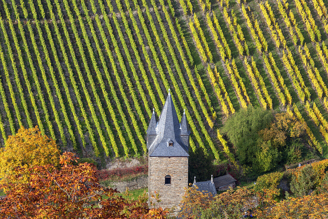 Das Steeger Tor in der Stadtmauer von Bacharach vor den Weinbergen, Oberes Mittelrheintal, Rheinland-Pfalz, Deutschland, Europa